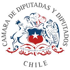 CAMARA DE DIPUTADOS